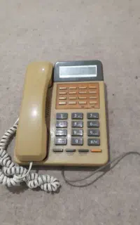 دوخط رندتلفن ثابت۳۸۲۴۱۷۱۷و۱۸۱۸  ۱۲۰م