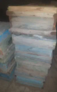 کندو زنبور