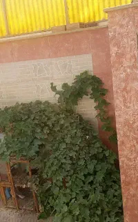 واحد دوخواب،حیاط دار