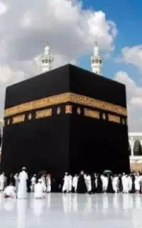۳ تا فیش مکه هر کدام ۲۲ میلیون