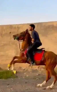 نریان نوه سالار فرخشهر
