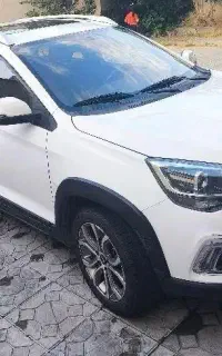 مدل ۹۶ سند تک برگ