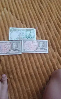3 پول شاهی