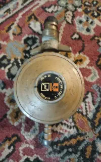 سالم‌ تضمینی