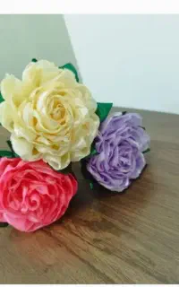 گل پیونی روبانی