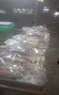 وانت پیکان مدل ۷۹ شاسی ها سالم   دوگانه شرکتی