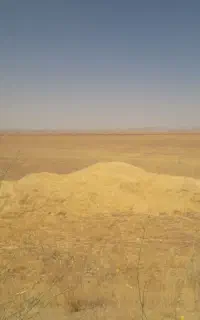 ۷ هفت خلوار کاه گوسفندی وگاوی