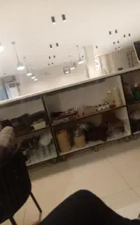 استخدام سالندار