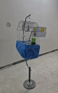 قفس پرنده