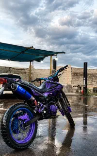 تریل 250cc بازسازی شده