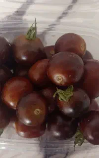 گوجه سیاه صحنه