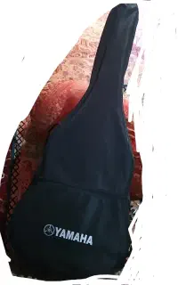 گیتار اموزشی