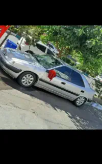 مدارک برگ سبز زانتیا گمشده