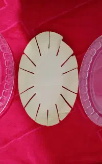 ۱۱ عدد دیس شیشه ای