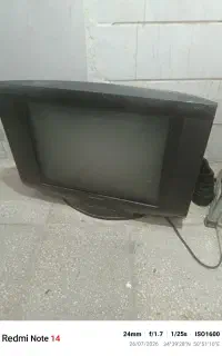 تاویزیون