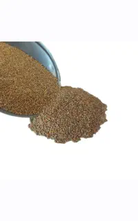 دانه برای قناری و پرنده