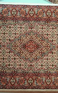 پشتی ریز ماهی