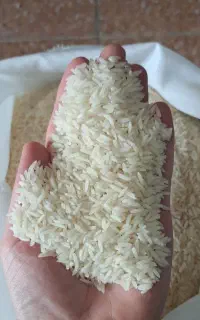 برنج طارم اعلا فریدونکنار خوش پخت درجه ۱