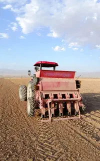 کاشت مکانیزه زعفران با دستگاه اتومات 9 ردیف