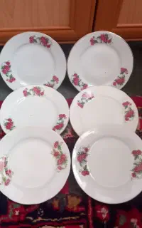 پیش دستی