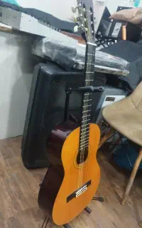 گیتار ak20 آریا