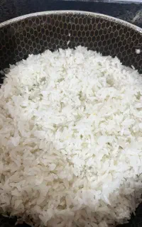 برنج کشت