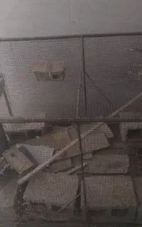 قفس پرنده‌