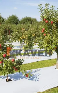 رول پلاستیکی کشت زمین و باغات