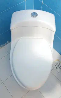 در حد نو