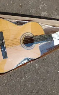 Agostiniگیتار پیکاپدارش
