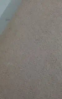 موکت نو۳در ۳