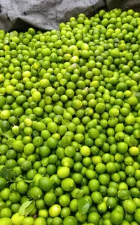 لیمو شیشه آب دار
