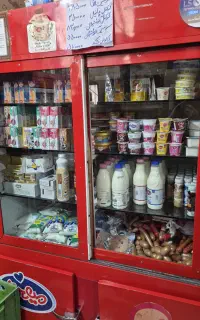 یخچال مغازه