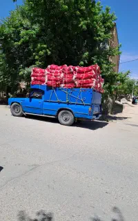 تولیدی گونی