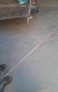 الکتورجوش