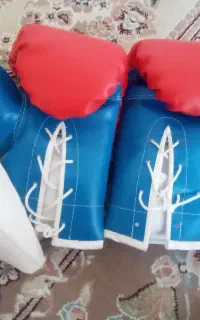 دستکش بوکس نو
