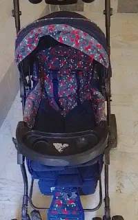 کالسکه سالم