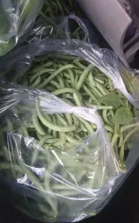 لوبیاسبزگوشتی