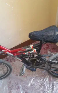 دوچرخه 20