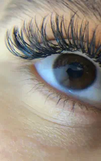 مژه