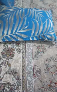 ده عدد بالشت پر هر عدد ۲۸۰