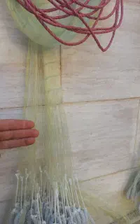 تور سالیک