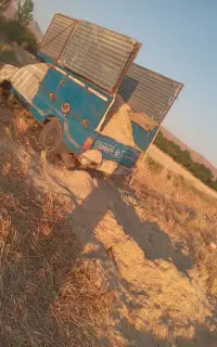 کاه.گندم. دیم