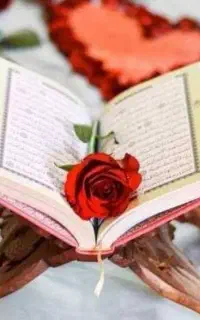 فال واستخاره