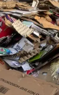 فروش کارتون