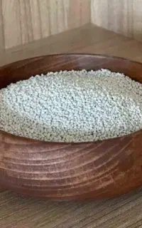 خاک گربه