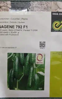 بذر خیار گلخانه ای ناگین