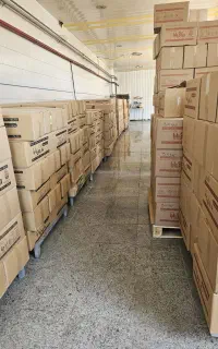 بازاریاب و ویزیتور