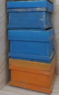 کندو زنبور عسل