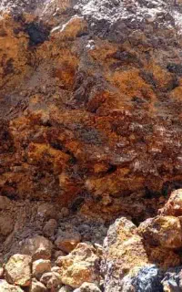 استخدام کمک راننده بیل